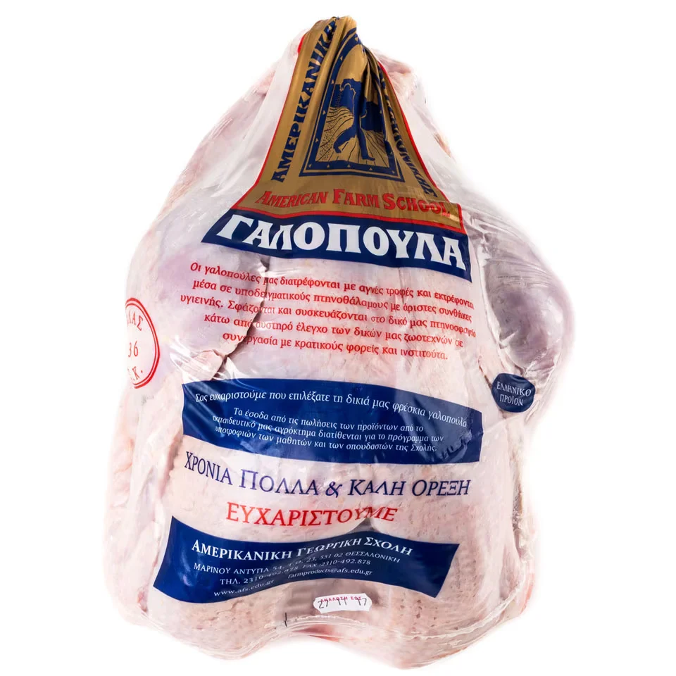 Γαλοπούλα Αμερικανικής Γεωργική Σχολής Γαλοπούλα Αμερικανικής Γεωργική Σχολής